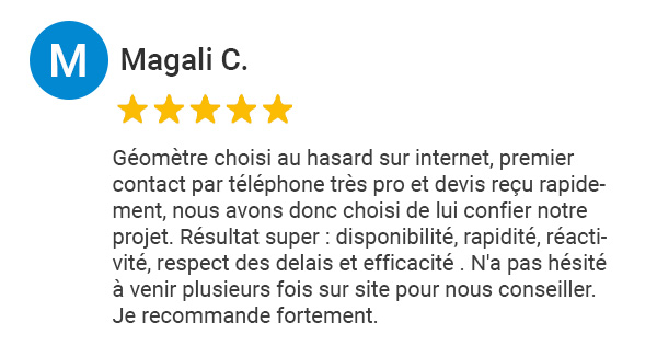 Avis Google