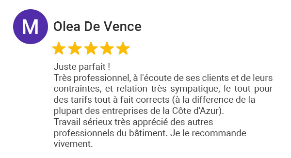 Avis Google