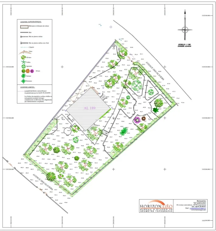 Plan topographique, Nice, HorizonGéo